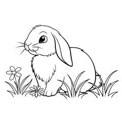 Rabbit in Nature
