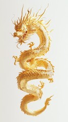 Fototapeta premium legant Golden Dragon Illlustration