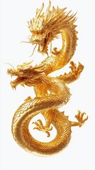 Fototapeta premium legant Golden Dragon Illlustration