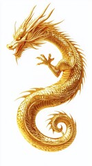 Obraz premium Golden Dragon Illustration