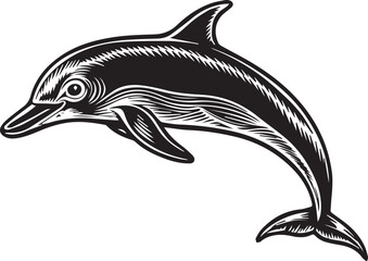 Fototapeta premium Black and white line art Silhouette dolphin nvector doodle art in white background