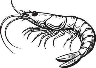 Black and white line art Silhouette lobster shirmp nvector doodle art in white background