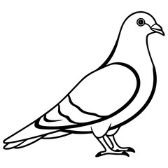 Cute Silhouette of a Pigeon line art vector cartoon illustration