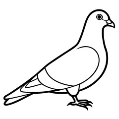 Cute Silhouette of a Pigeon line art vector cartoon illustration