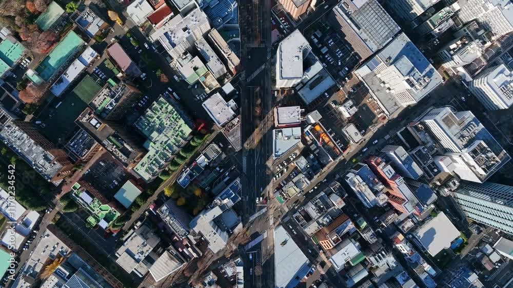 Leinwandbilder 空撮、真俯瞰、ドローン、都市、道路、交通、社会、真上、前進、建設、進歩、不動産、ビル、ビル群、ビジネス、産業、開発、俯瞰、ハイアングル、現代、都会、建築、日本、街、自治体、行政、屋上、景色、景観、迫力、インフラ、時代、成長、発展、屋外、昼間、展望、自動車、観光、旅行、経済、企業、暮らし、住宅、建物、技術、鳥瞰図、60p、見下ろす、風景