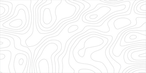 Abstract topography background. Topographic contour map subtle. Wavy paper curved reliefs White background. Geographic mountain relief curve lines background. Vector illustration.