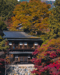 Japanese house surounded by the colourful leaves of the trees during the peak of the autum season in Japan
