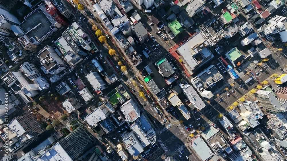 Leinwandbilder 空撮、真俯瞰、真上、ドローン、都市、社会、道路、交通、ビジネス、産業、建設、開発、成長、発展、不動産、ゼネコン、地域、地方、都会、日本、モビリティ、自動車、ビル、建物、建築、時代、テクノロジー、屋上、俯瞰、ハイアングル、見下ろす、上から見た、上空、飛行、区画、市街地、町並み、街、企業、現代、風景、景色、景観、晴れ、明るい、未来、将来、前進、60p、進歩