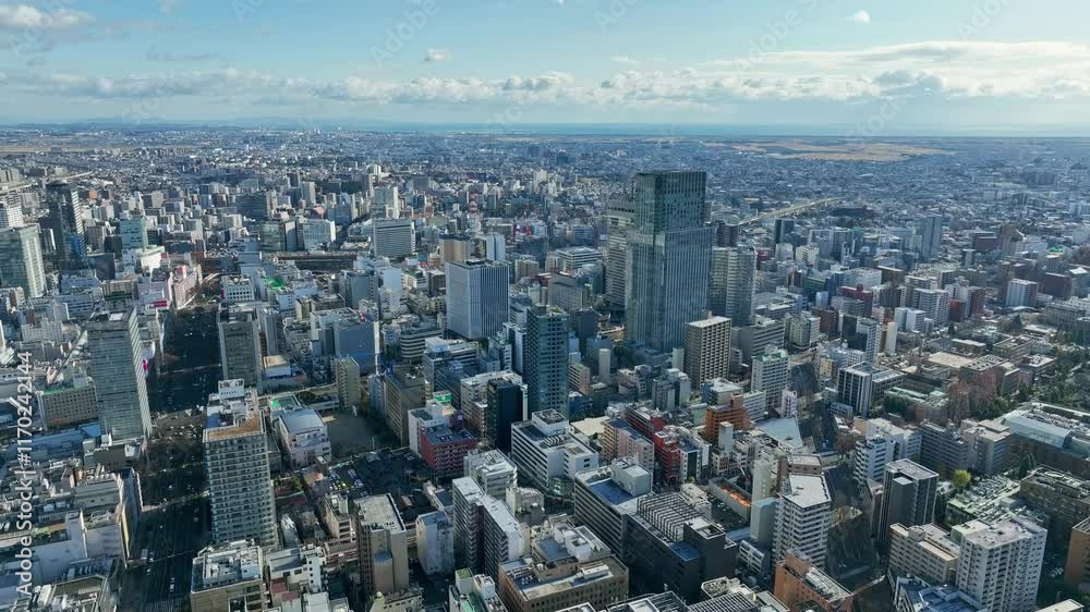 Leinwandbilder 都市、空撮、社会、展望、ドローン、ビジネス、経済、都会、時代、不動産、俯瞰、ハイアングル、パノラマ、地平線、風景、景色、景観、上から見た、見下ろす、青空、環境、町並み、街、現代、建設、建築、ビル、ビル群、高層ビル、摩天楼、日本、観光、旅行、コピースペース、昼間、晴れ、企業、経営、タワーマンション、絶景、インパクト、迫力、インフラ、産業、道路、交通、広角、広大、60p、未来