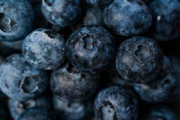 Close-up of blueberries on dark background.Fresh Blueberry Bounty. Close-up of ripe juicy blueberries filling the frame