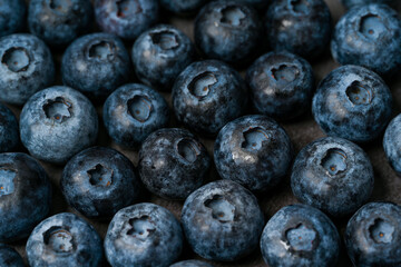 Close-up of blueberries on dark background.Fresh Blueberry Bounty. Close-up of ripe juicy blueberries filling the frame