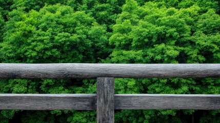 Lush green foliage viewed from a rustic wooden railing, emphasizing nature's tranquility and beauty in a serene outdoor setting.