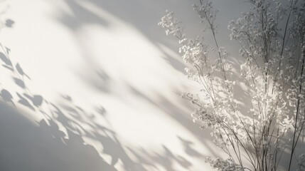 Obraz premium Gray shadows of delicate flowers and grass cast on a white wall. Abstract neutral nature concept with soft, subtle lighting and plenty of space for text or design.