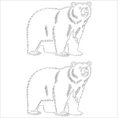 Outline illustration of a grizzly bear, featuring bold lines and detailed fur, ideal for coloring or educational materials.