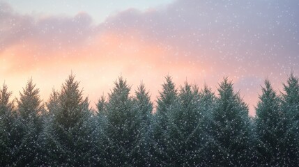 Fototapeta premium Winter Wonderland: Snow-Covered Pine Forest at Sunset