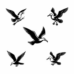 Albatross vector icon white background.