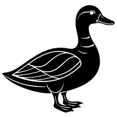 Cute duck vector cartoon illustration