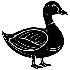 Cute duck vector cartoon illustration