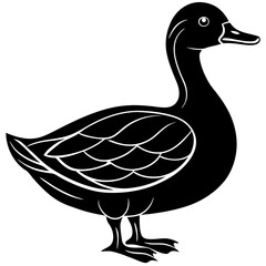 Cute duck vector cartoon illustration