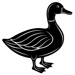 Cute duck vector cartoon illustration