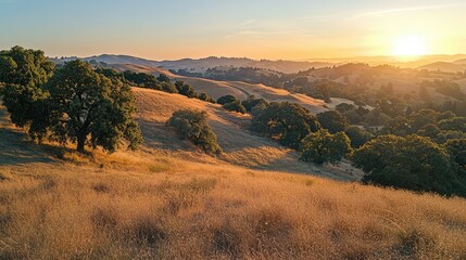 Fototapeta premium Golden Hour Over Rolling Hills with Trees in Rural Landscape