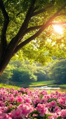 Obraz premium Sunlit garden scene with pink peonies blooming under a large tree near a tranquil stream.
