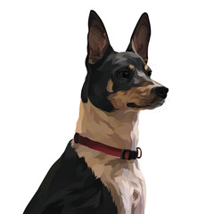 jack russell terrier dog