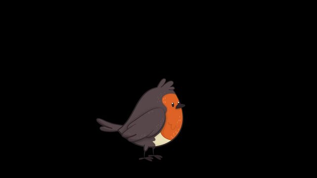 bird of walking on png looping