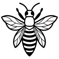 Cute Bee vector cartoon illustration