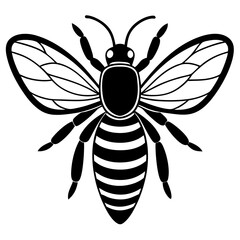 Cute Bee vector cartoon illustration