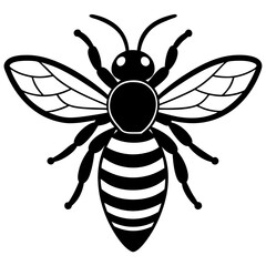 Cute Bee vector cartoon illustration