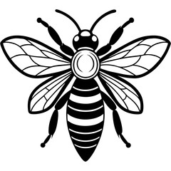 Cute Bee vector cartoon illustration