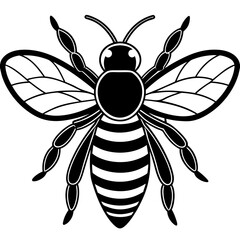 Cute Bee vector cartoon illustration