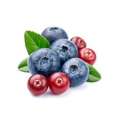 Blueberries and cranberries with leaves