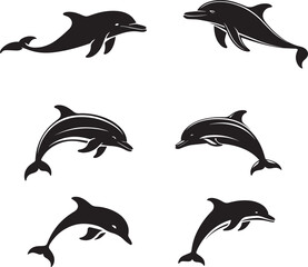 set of dolphins vector.