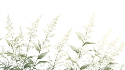 Fototapeta premium Delicate White Flowers and Green Leaves on White Background