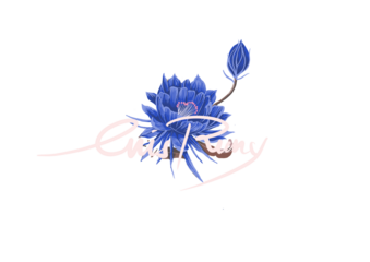 abstract blue flower