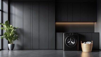 Modern Dark Laundry Room Interior Design