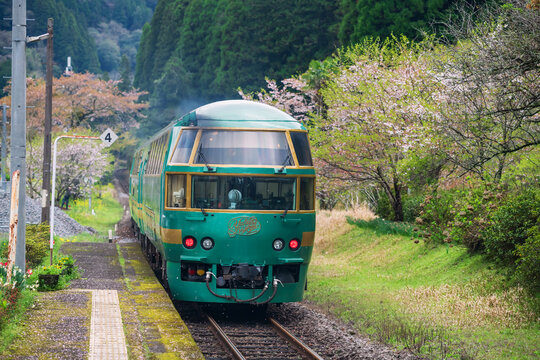 Yufuin No Mori train on railway to Oita and Beppu at springtime, Hita
