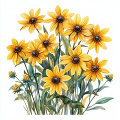 Bright Yellow Flowers in Full Bloom Against a White Background