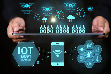 Professional holding a tablet with smart farming AI icons: agricultural technology and IoT AI solutions for precision agriculture, sustainable practices, and AI high-tech farm management.
