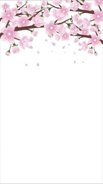 vertical video illustration of cherry stems and flowers swaying in the wind and dropping flowers, isolated on white