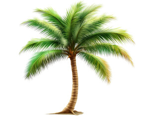 tropical palm tree with lush green fronds and sturdy trunk, perfect for evoking sense of relaxation and paradise. Ideal for summer themes and nature inspired designs