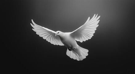 Fototapeta premium A white dove flying in the air, against a pure black background, with high contrast and high-resolution photography, in a minimalist style and monochrome background, captured with