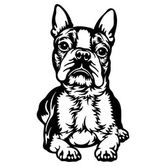 Boston Terrier Dog Breed - Pet Vector Cut file, Dog Silhouette Stencil - Cricut file