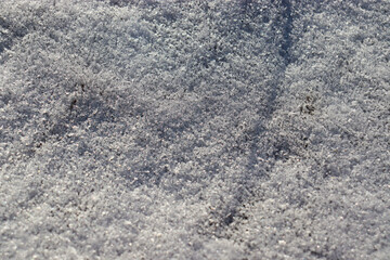 First snow. Snow texture. Drifting snow.