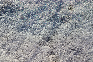 First snow. Snow texture. Drifting snow.