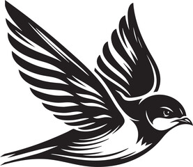 Aggressive Swallow Bird Ready to Attack
