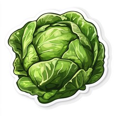 Fototapeta premium of Green Brussels Sprout Head on White Background