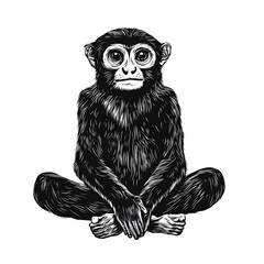 Fototapeta premium Sitting monkey, detailed line art.